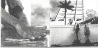 Image of sheet 19840620 photo 37: booklet Bob Ostertag